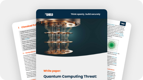 whitepaper-An Overview of Post-Quantum Cryptography